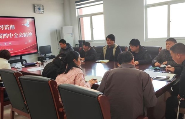 国有资产与实验室管理处党支部开展深入学习贯彻党的二十届四中全会精神专题党课